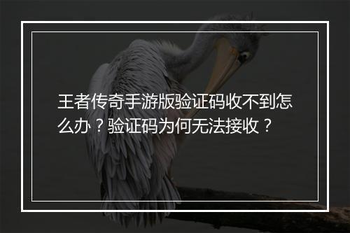 王者传奇手游版验证码收不到怎么办？验证码为何无法接收？