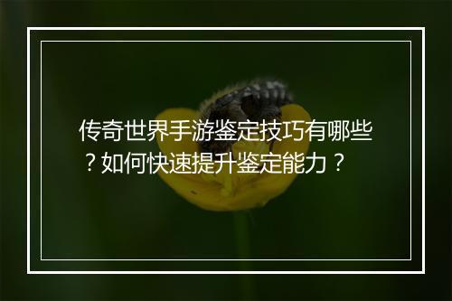 传奇世界手游鉴定技巧有哪些？如何快速提升鉴定能力？