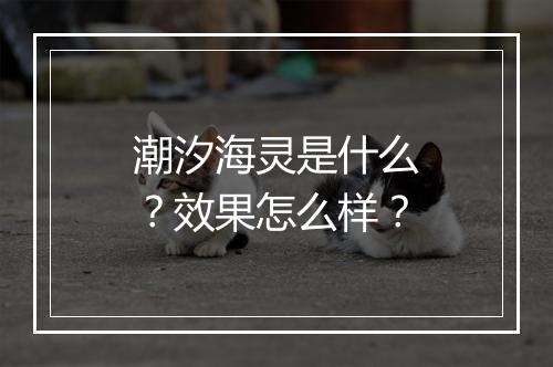 潮汐海灵是什么？效果怎么样？