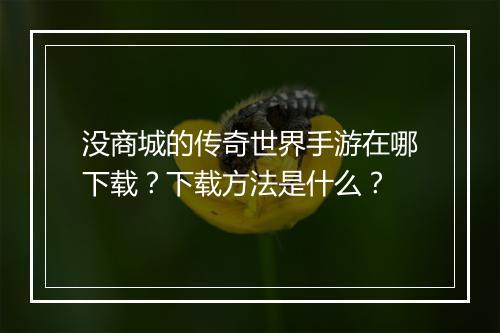 没商城的传奇世界手游在哪下载？下载方法是什么？