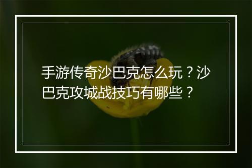 手游传奇沙巴克怎么玩？沙巴克攻城战技巧有哪些？