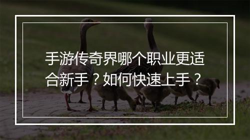 手游传奇界哪个职业更适合新手？如何快速上手？