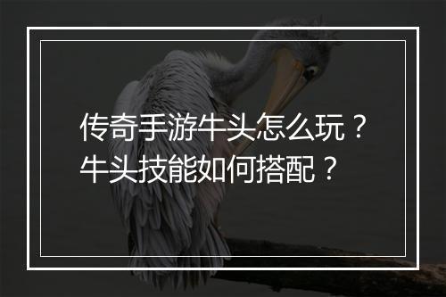 传奇手游牛头怎么玩？牛头技能如何搭配？