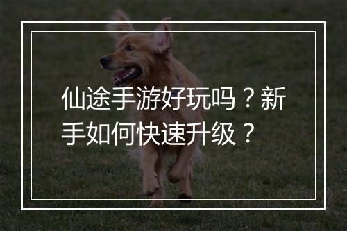 仙途手游好玩吗？新手如何快速升级？