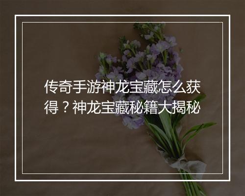 传奇手游神龙宝藏怎么获得？神龙宝藏秘籍大揭秘