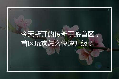 今天新开的传奇手游首区，首区玩家怎么快速升级？