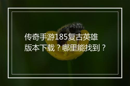 传奇手游185复古英雄版本下载？哪里能找到？