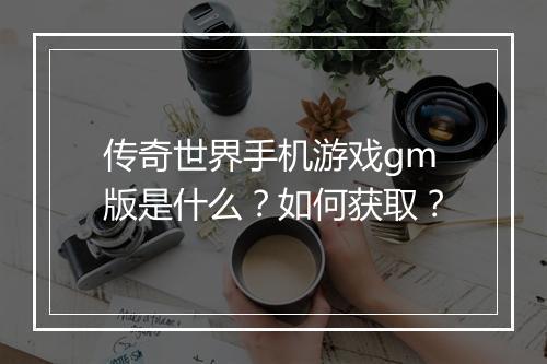 传奇世界手机游戏gm版是什么？如何获取？
