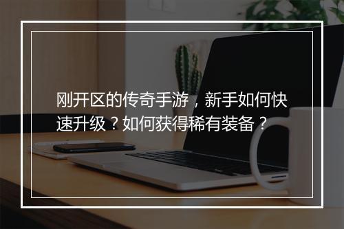 刚开区的传奇手游，新手如何快速升级？如何获得稀有装备？