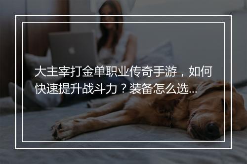 大主宰打金单职业传奇手游，如何快速提升战斗力？装备怎么选？