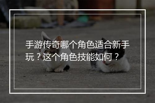 手游传奇哪个角色适合新手玩？这个角色技能如何？