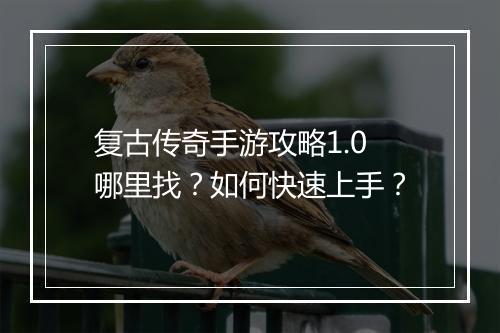 复古传奇手游攻略1.0哪里找？如何快速上手？