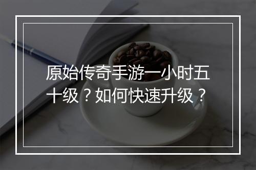 原始传奇手游一小时五十级？如何快速升级？