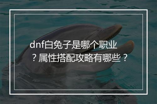 dnf白兔子是哪个职业？属性搭配攻略有哪些？