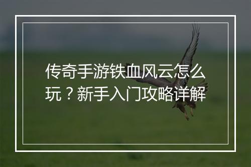 传奇手游铁血风云怎么玩？新手入门攻略详解