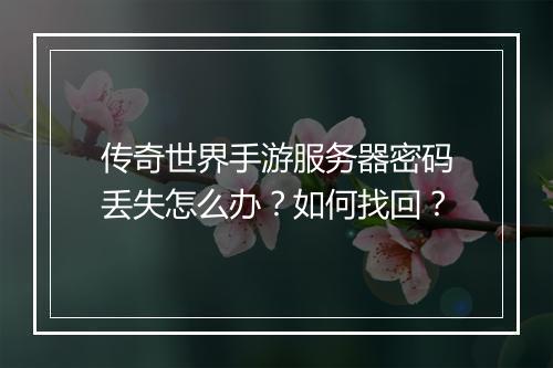 传奇世界手游服务器密码丢失怎么办？如何找回？