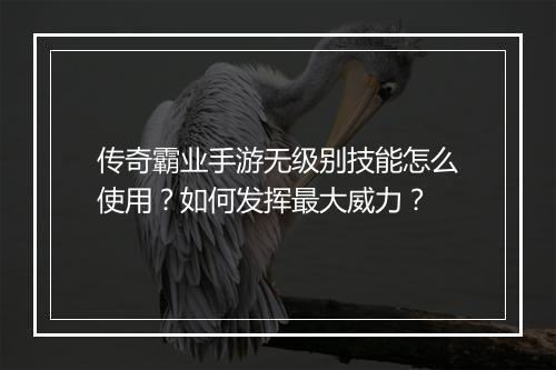 传奇霸业手游无级别技能怎么使用？如何发挥最大威力？