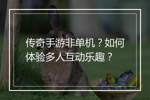传奇手游非单机？如何体验多人互动乐趣？