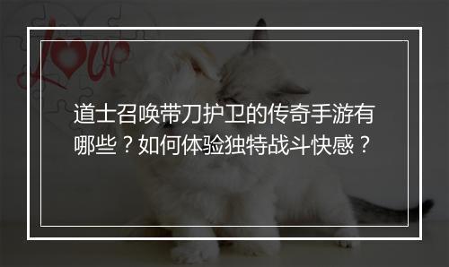 道士召唤带刀护卫的传奇手游有哪些？如何体验独特战斗快感？