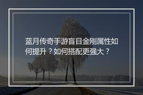 蓝月传奇手游盲目金刚属性如何提升？如何搭配更强大？