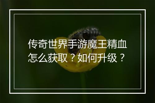 传奇世界手游魔王精血怎么获取？如何升级？