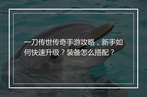 一刀传世传奇手游攻略，新手如何快速升级？装备怎么搭配？