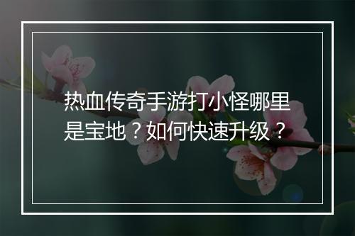热血传奇手游打小怪哪里是宝地？如何快速升级？