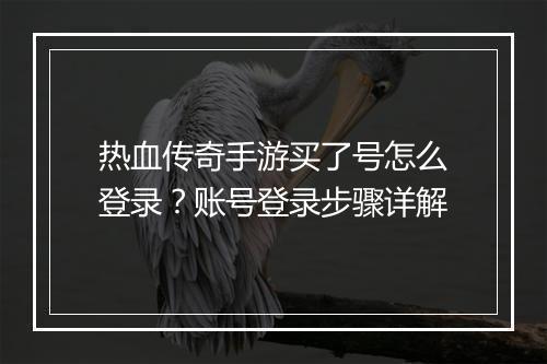 热血传奇手游买了号怎么登录？账号登录步骤详解