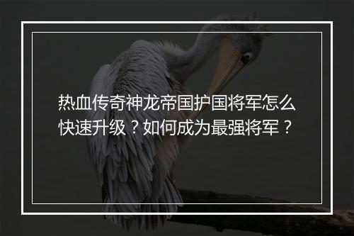 热血传奇神龙帝国护国将军怎么快速升级？如何成为最强将军？
