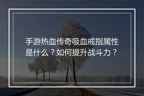 手游热血传奇吸血戒指属性是什么？如何提升战斗力？