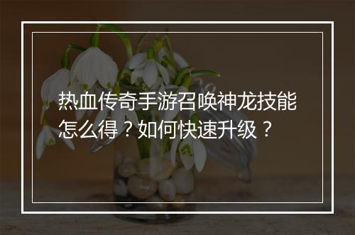热血传奇手游召唤神龙技能怎么得？如何快速升级？