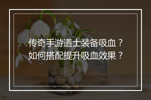 传奇手游道士装备吸血？如何搭配提升吸血效果？