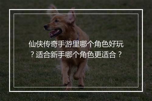 仙侠传奇手游里哪个角色好玩？适合新手哪个角色更适合？