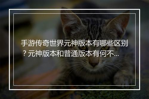 手游传奇世界元神版本有哪些区别？元神版本和普通版本有何不同？