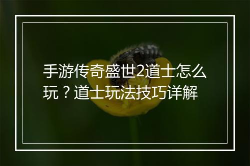手游传奇盛世2道士怎么玩？道士玩法技巧详解