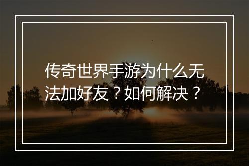 传奇世界手游为什么无法加好友？如何解决？