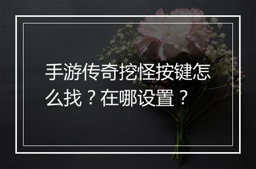 手游传奇挖怪按键怎么找？在哪设置？