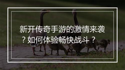 新开传奇手游的激情来袭？如何体验畅快战斗？