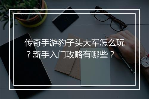 传奇手游豹子头大军怎么玩？新手入门攻略有哪些？