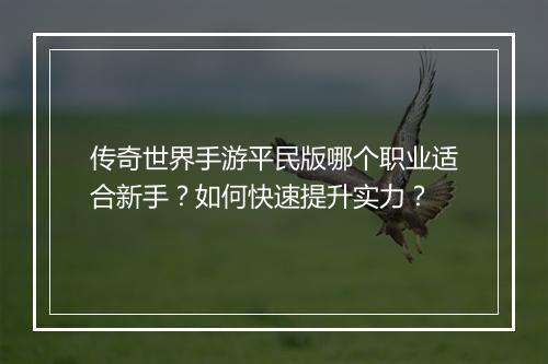 传奇世界手游平民版哪个职业适合新手？如何快速提升实力？
