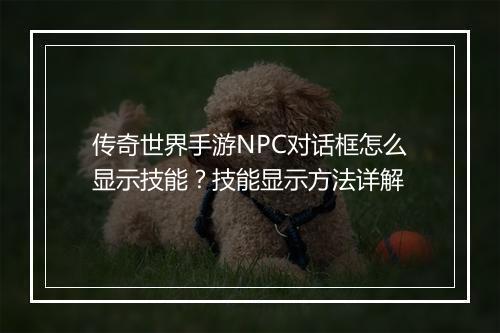 传奇世界手游NPC对话框怎么显示技能？技能显示方法详解