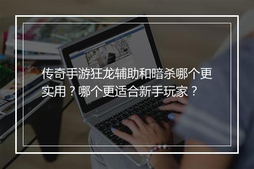 传奇手游狂龙辅助和暗杀哪个更实用？哪个更适合新手玩家？
