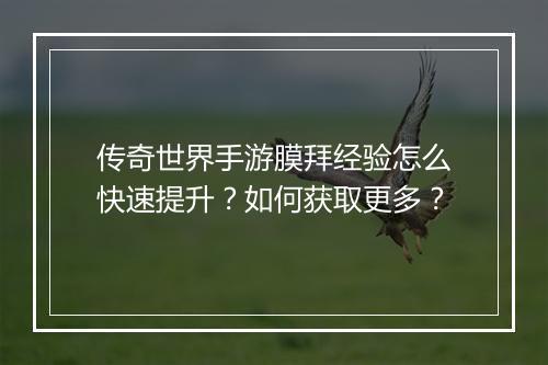传奇世界手游膜拜经验怎么快速提升？如何获取更多？