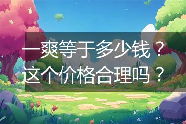 一爽等于多少钱？这个价格合理吗？