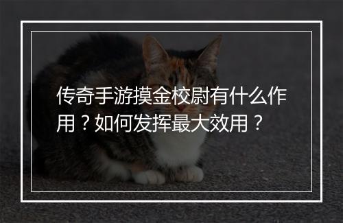 传奇手游摸金校尉有什么作用？如何发挥最大效用？