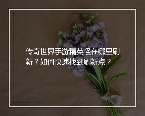 传奇世界手游精英怪在哪里刷新？如何快速找到刷新点？