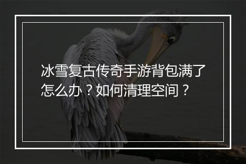 冰雪复古传奇手游背包满了怎么办？如何清理空间？