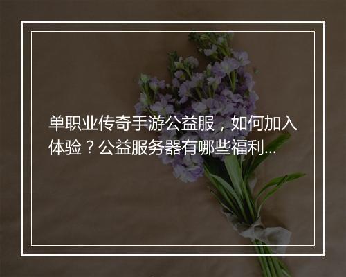 单职业传奇手游公益服，如何加入体验？公益服务器有哪些福利？