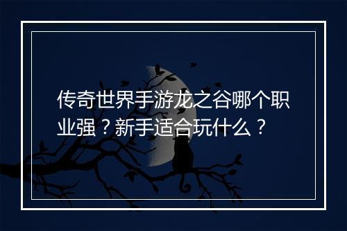 传奇世界手游龙之谷哪个职业强？新手适合玩什么？