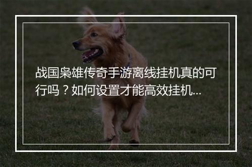 战国枭雄传奇手游离线挂机真的可行吗？如何设置才能高效挂机？